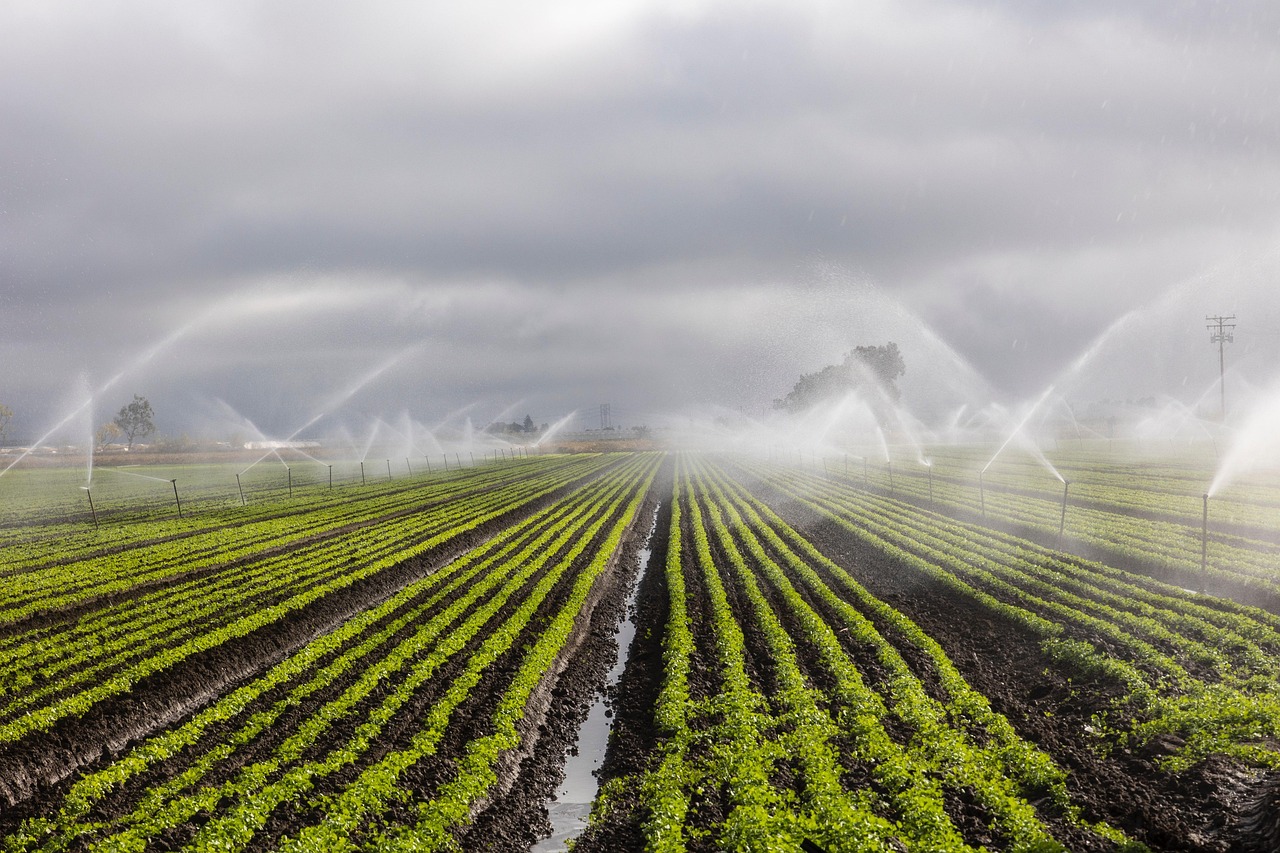 irrigation, agriculture, farm, irrigation, irrigation, irrigation, irrigation, irrigation
